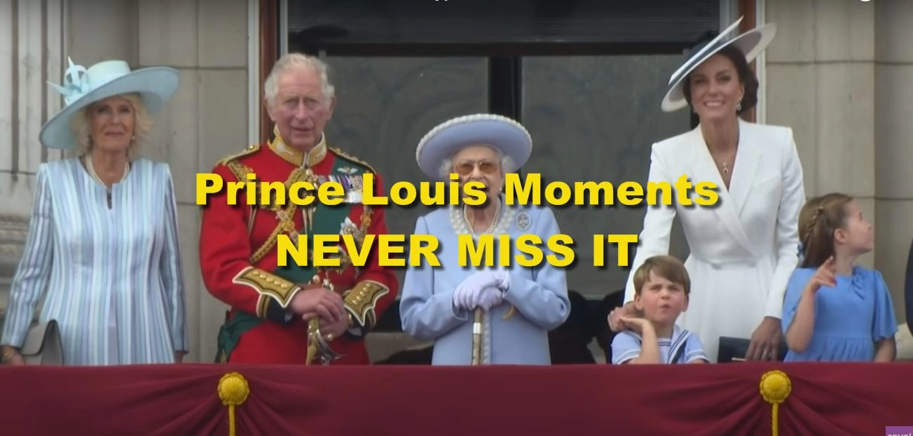 Prince Louis Moments