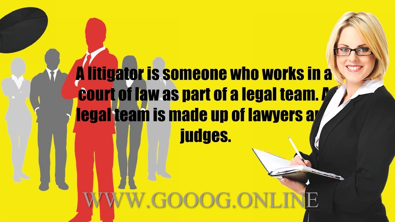 What Is A Litigator